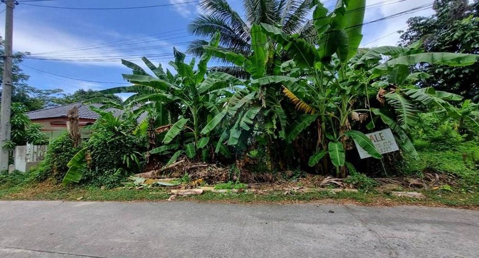 For sale land in Ko Samui, Surat Thani
