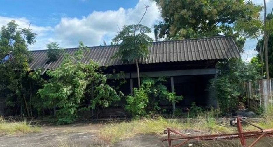 For sale 1 Beds house in Samoeng, Chiang Mai