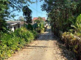 Haus zum Kauf mit 1 Zimmer in Samoeng, Chiang Mai