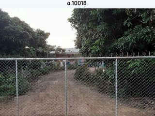 For sale 1 bed house in Samoeng, Chiang Mai