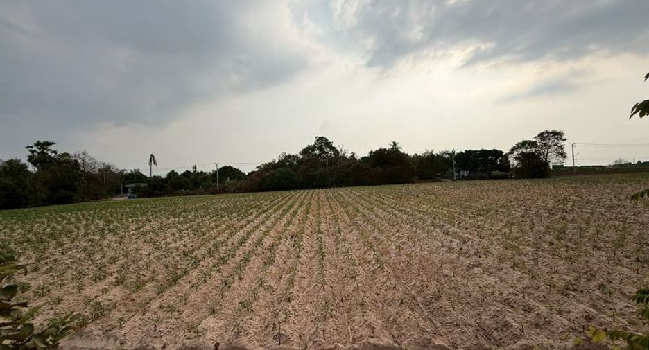 For sale land in Si Racha, Chonburi