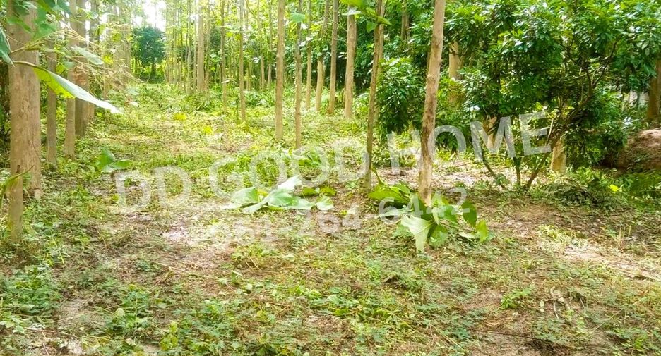 Terreno en venta en Phan, Chiang Rai
