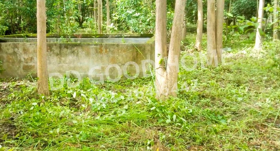 Terreno en venta en Phan, Chiang Rai