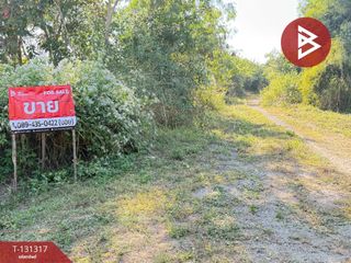 For sale land in Doi Lo, Chiang Mai