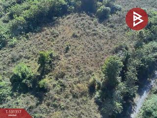 For sale land in Doi Lo, Chiang Mai