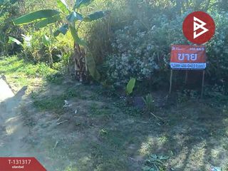 For sale land in Doi Lo, Chiang Mai