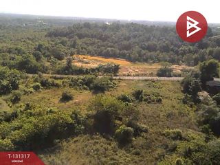 For sale land in Doi Lo, Chiang Mai