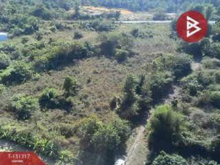 For sale land in Doi Lo, Chiang Mai