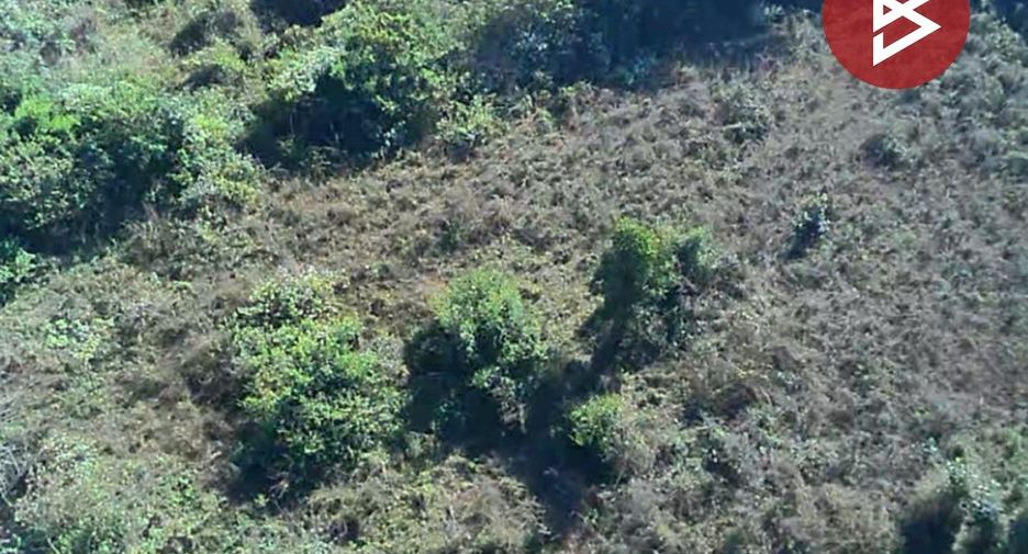 For sale land in Doi Lo, Chiang Mai