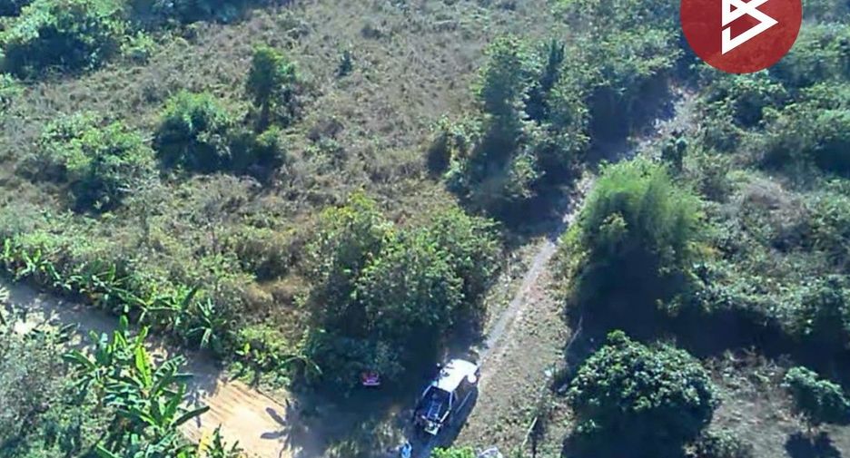 For sale land in Doi Lo, Chiang Mai