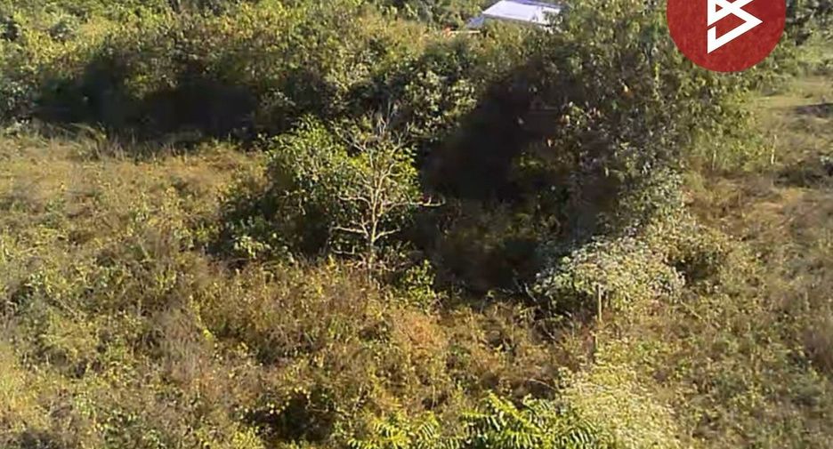 For sale land in Doi Lo, Chiang Mai