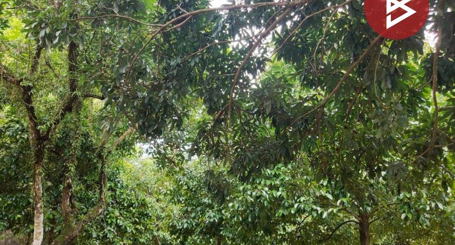 出售 4 卧室 独立屋 在 Khlung, Chanthaburi