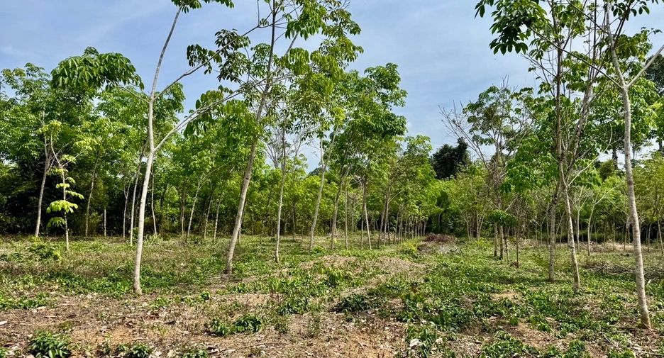 For sale land in Thai Mueang, Phang Nga