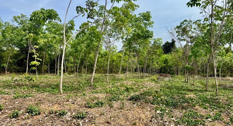 For sale land in Thai Mueang, Phang Nga