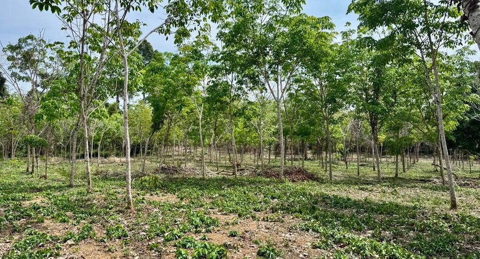 For sale land in Thai Mueang, Phang Nga