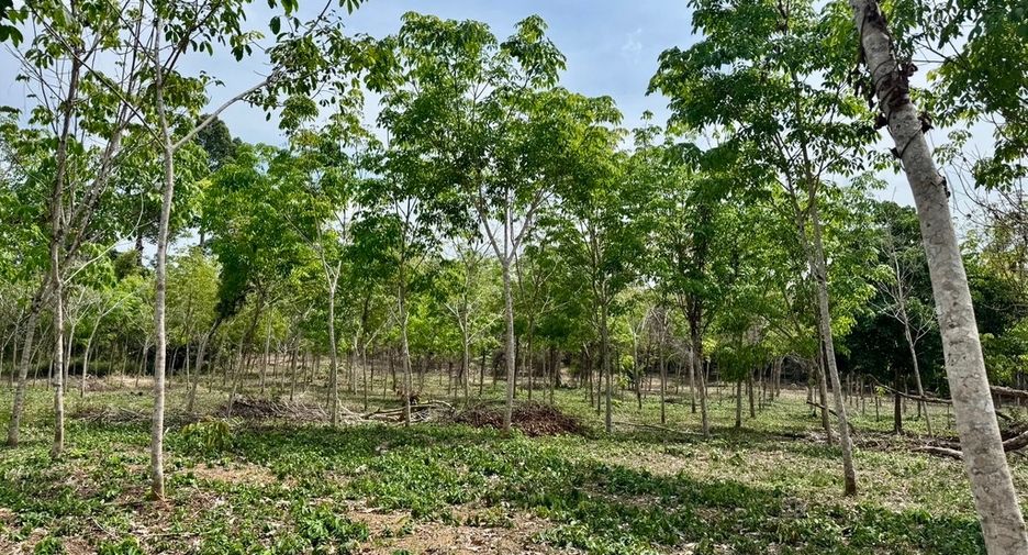 For sale land in Thai Mueang, Phang Nga