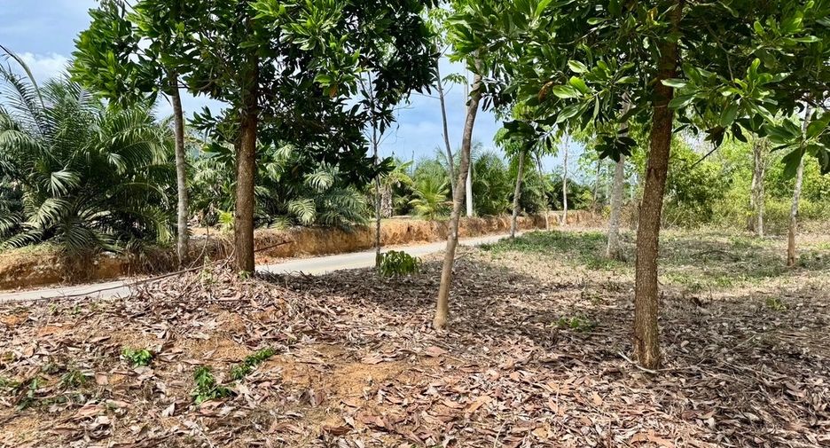 For sale land in Thai Mueang, Phang Nga