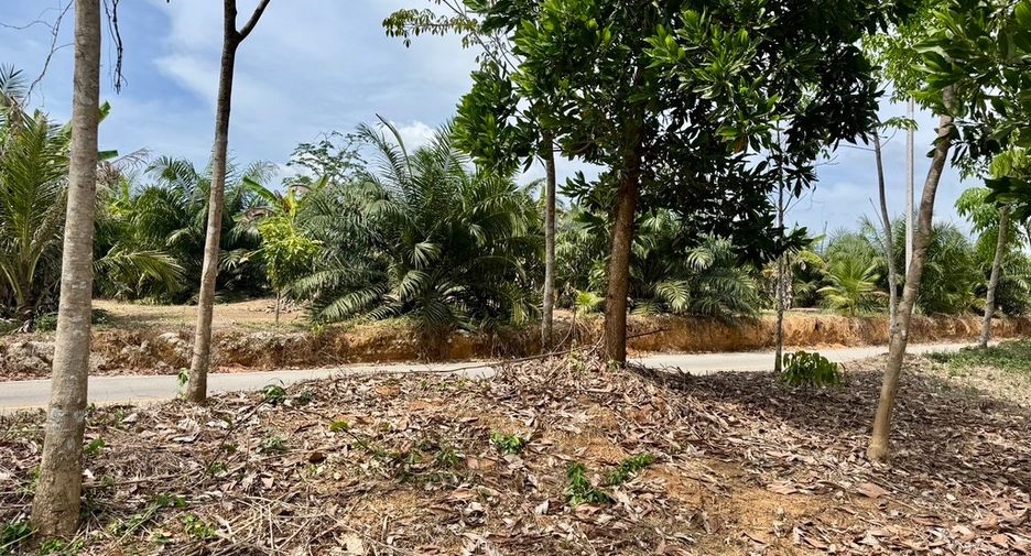 For sale land in Thai Mueang, Phang Nga