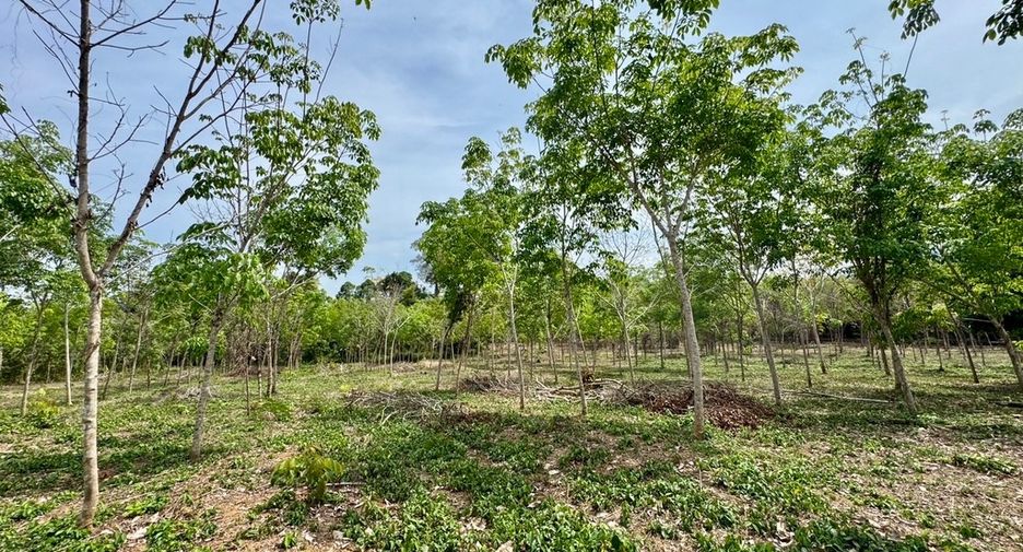 For sale land in Thai Mueang, Phang Nga