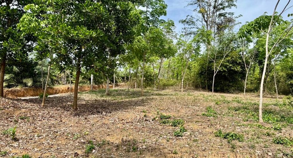 For sale land in Thai Mueang, Phang Nga