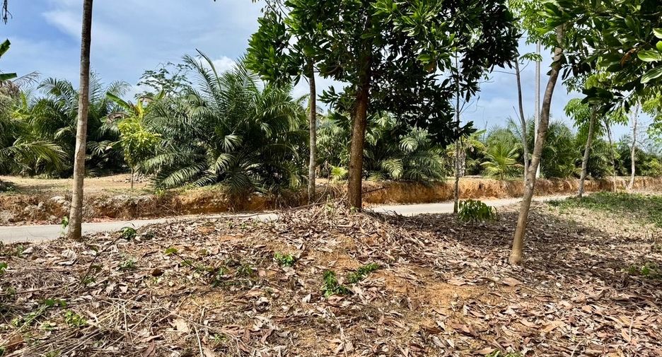 For sale land in Thai Mueang, Phang Nga