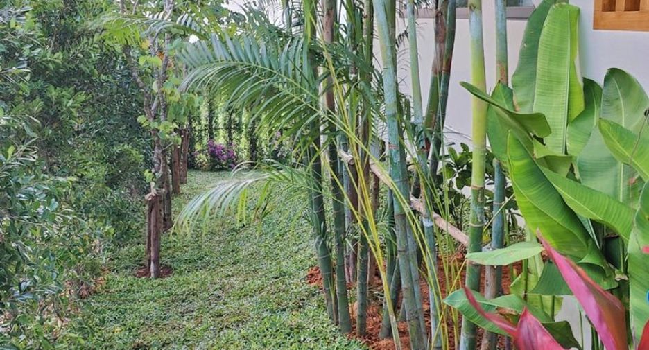 For rent 4 bedrooms villa in Ko Samui, Surat Thani