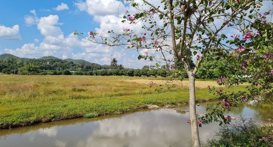 À vendre terrain à Wiang Pa Pao, Chiang Rai