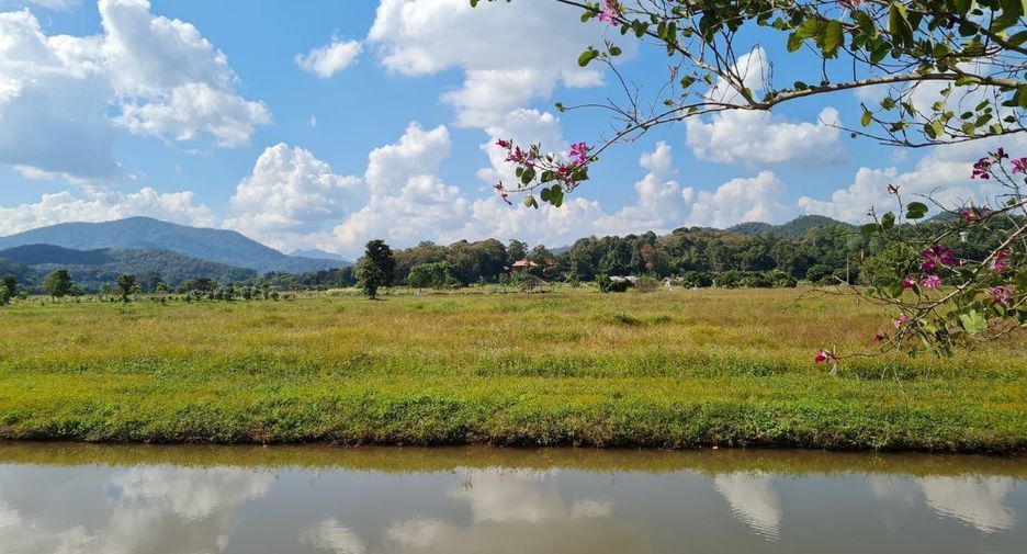 À vendre terrain à Wiang Pa Pao, Chiang Rai