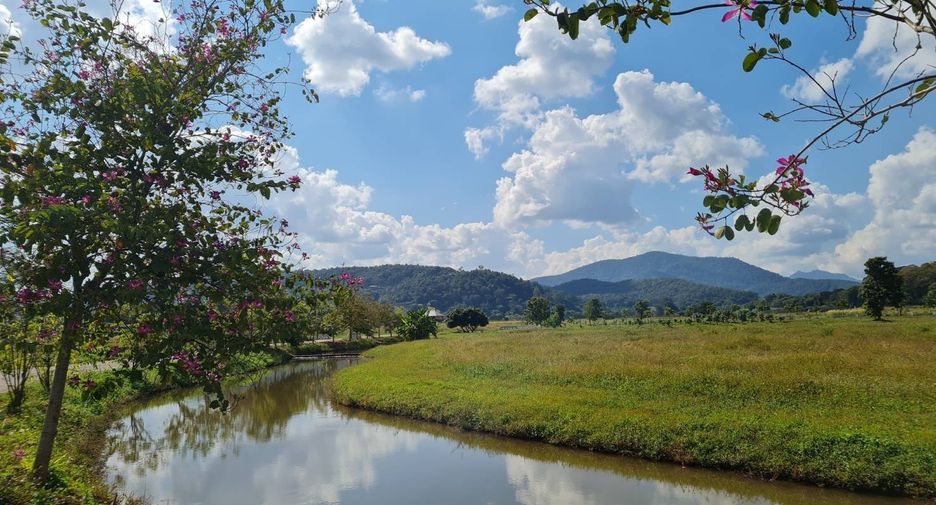 À vendre terrain à Wiang Pa Pao, Chiang Rai