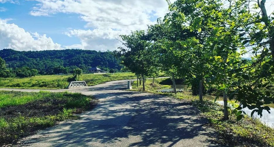 À vendre terrain à Wiang Pa Pao, Chiang Rai