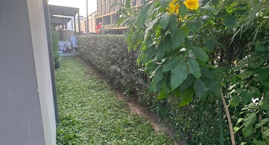 出租 3 卧室 独立屋 在 Chatuchak, 曼谷