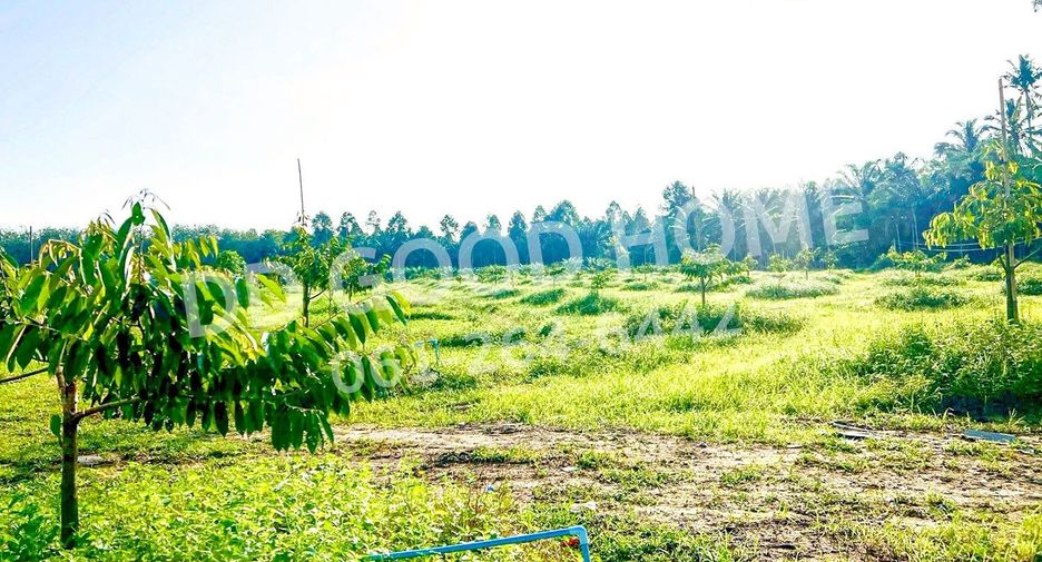 For sale land in Sichon, Nakhon Si Thammarat