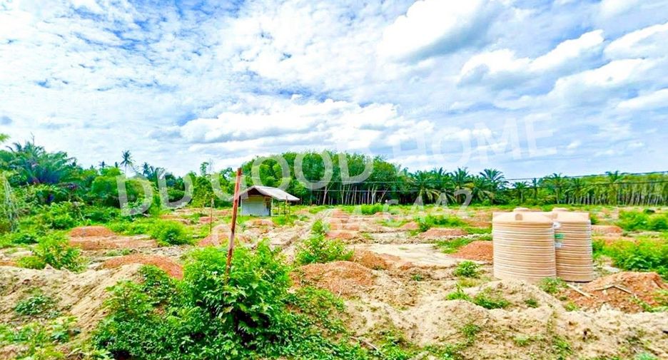 For sale land in Sichon, Nakhon Si Thammarat