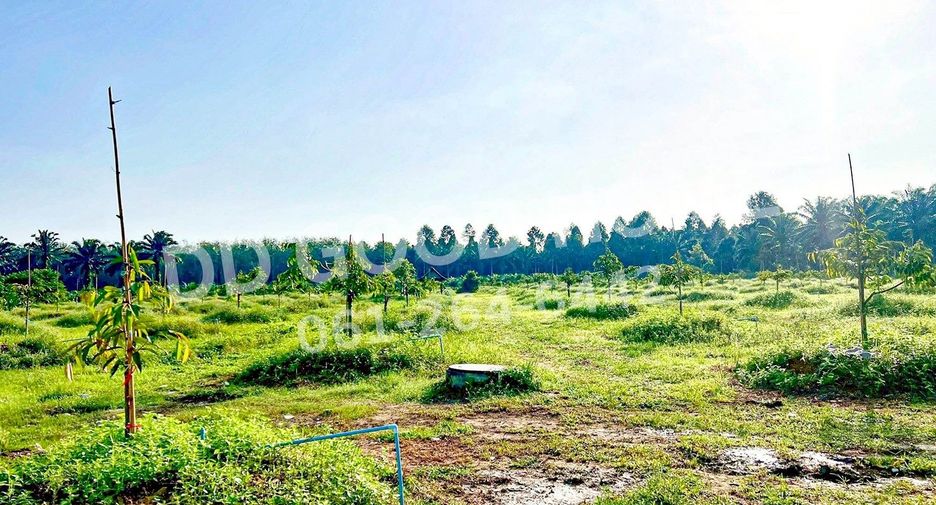 For sale land in Sichon, Nakhon Si Thammarat