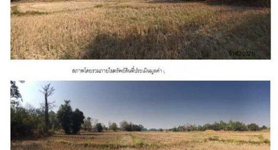For sale land in Nong Muang Khai, Phrae