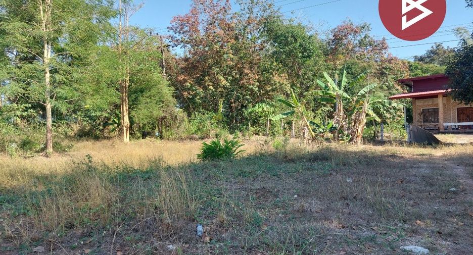 À vendre terrain à Pak Khat, Bueng Kan