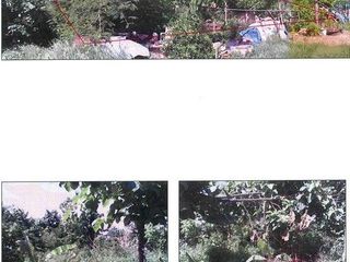 出售 土地 在 Mueang Phayao, Phayao
