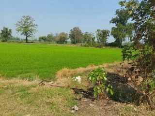 出售 土地 在 Sawankhalok, Sukhothai