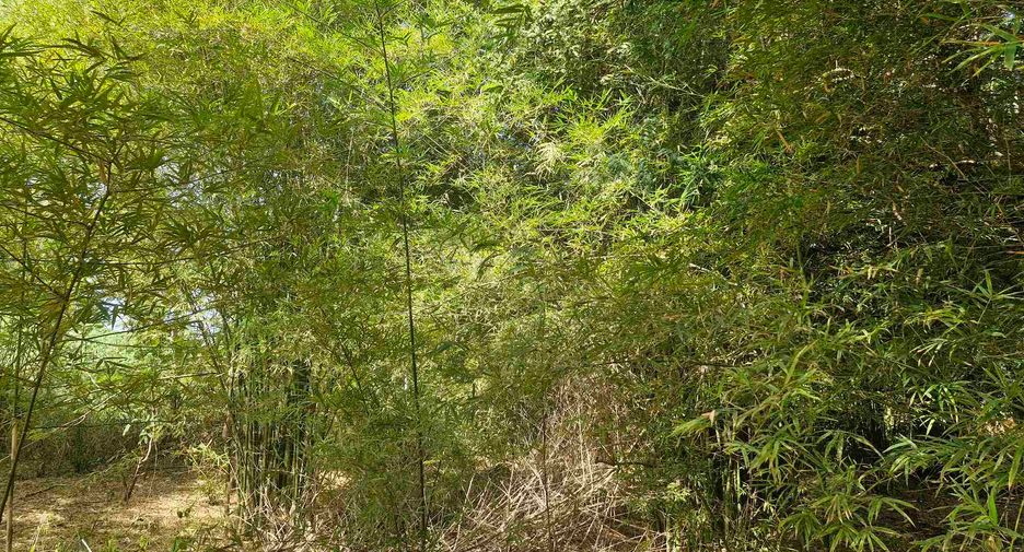 For sale land in Si Sawat, Kanchanaburi