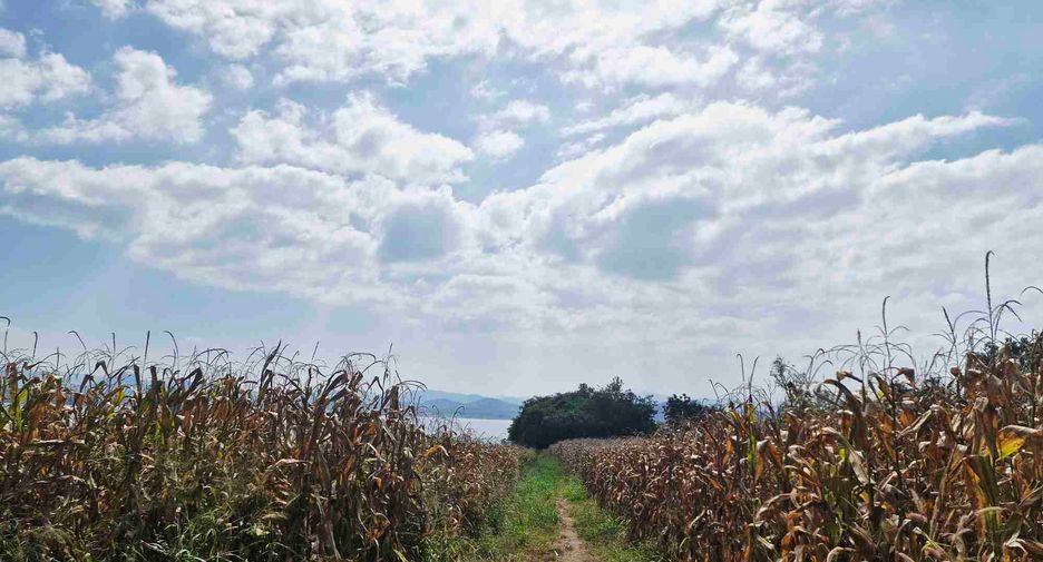 For sale land in Si Sawat, Kanchanaburi