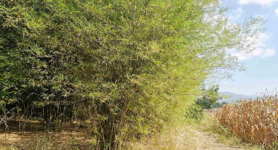 For sale land in Si Sawat, Kanchanaburi