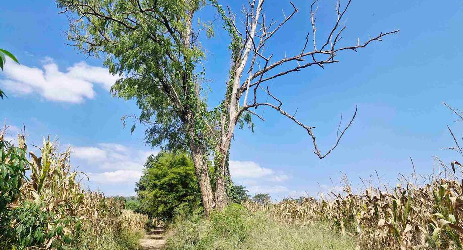 For sale land in Si Sawat, Kanchanaburi