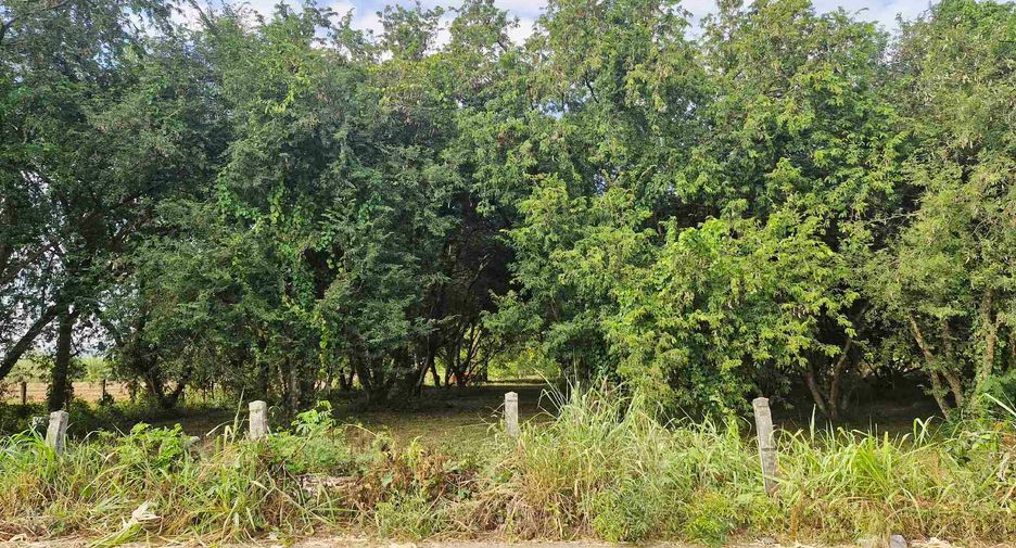 出售 土地 在 Si Sawat, Kanchanaburi