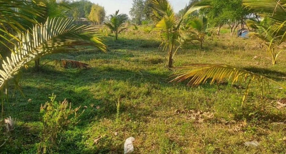 Продажа 3 спальни дом в Lam Plai Mat, Buri Ram