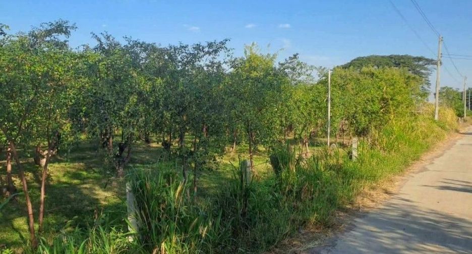 Продажа 3 спальни дом в Lam Plai Mat, Buri Ram