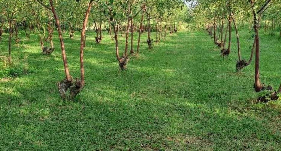 Продажа 3 спальни дом в Lam Plai Mat, Buri Ram