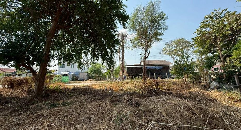 出售 土地 在 Si Racha, Chon Buri