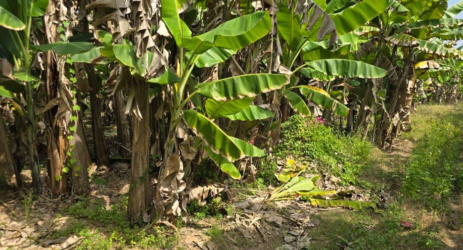 For sale land in Sawankhalok, Sukhothai