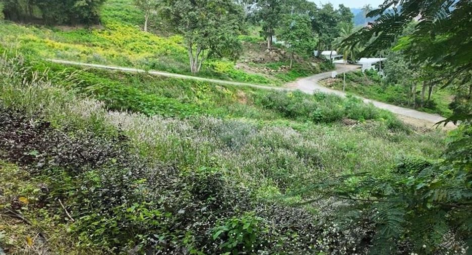 ขาย ที่ดิน ใน เกาะสมุย, สุราษฎร์ธานี