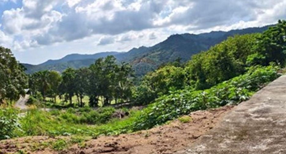 ขาย ที่ดิน ใน เกาะสมุย, สุราษฎร์ธานี